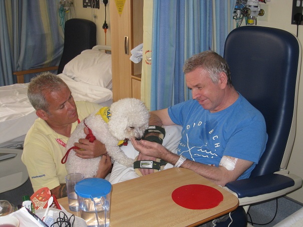 Bella the dog with a stroke patient