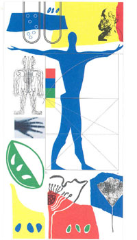 Vitreous Enamel Wall Panel by Hazel Brook(Conquest Hospital)