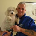 Hospital therapy dog Bella wins local radio ‘Inspiration’ award thumbnail image