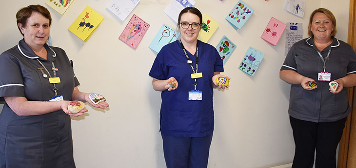 Members of staff holding some of the Comfort pebbles