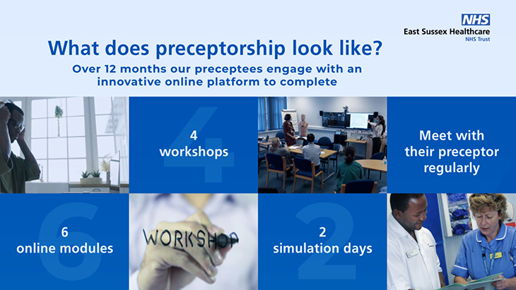 What does preceptorship look like