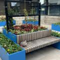 Critical Care Sensory Garden celebrated following restoration thumbnail image