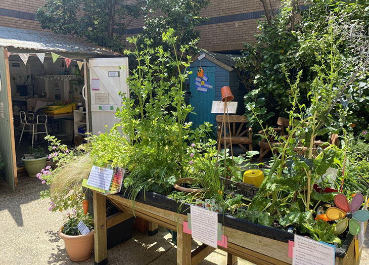 Therapy garden and 'sowing room' opens at Eastbourne DGH