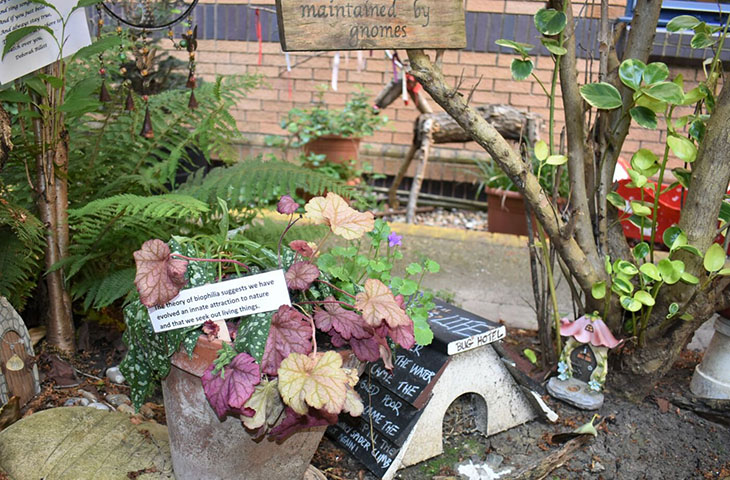 Therapy garden and 'sowing room' opens at Eastbourne DGH