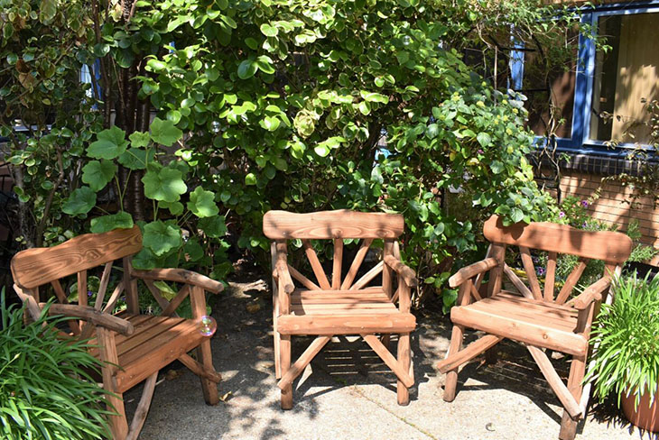 Therapy garden and 'sowing room' opens at Eastbourne DGH