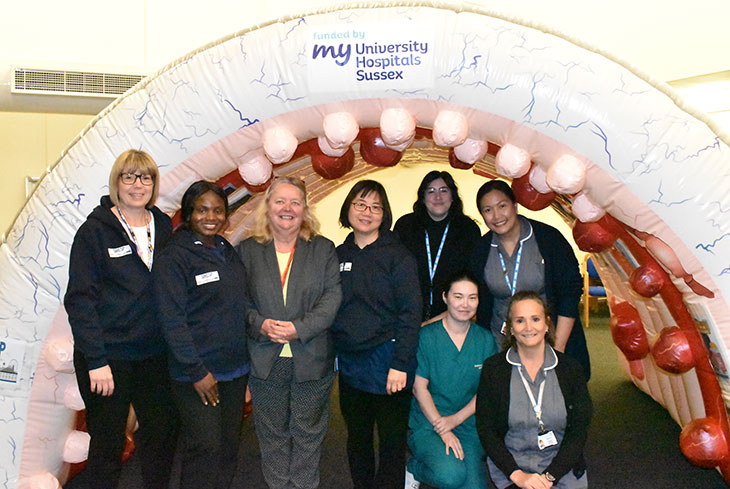 Members of staff inside the giant inflatable colon